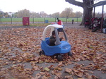 1102_02.jpg